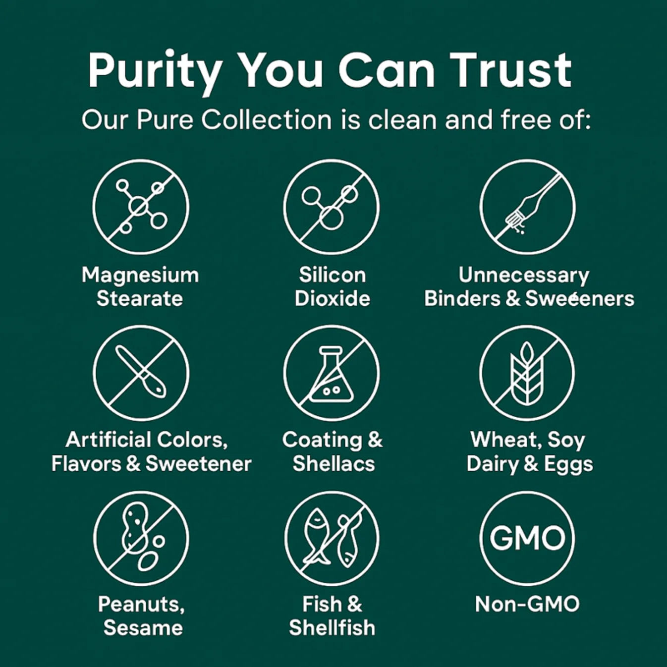 Turmeric Curcumin Capsules (1,000mg)